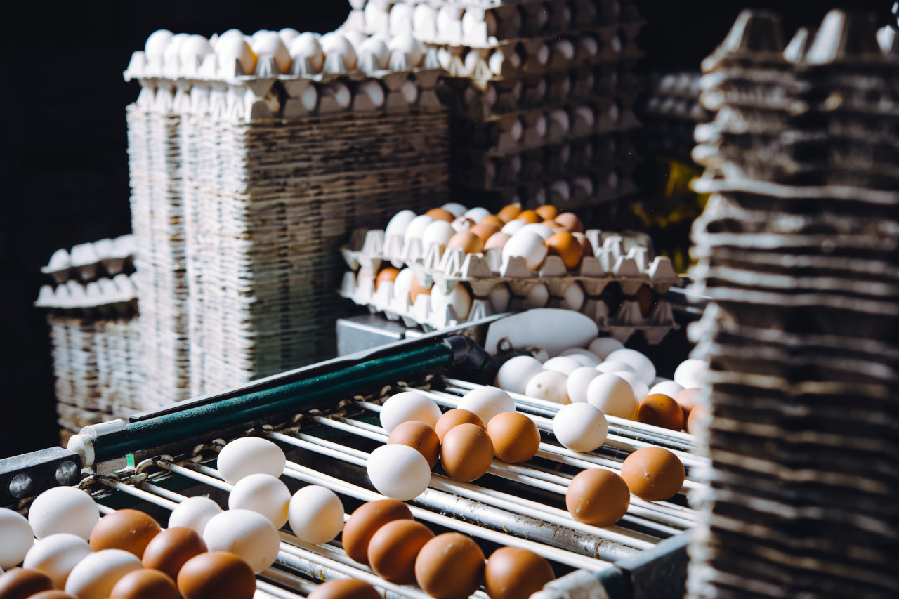 food traceability, food supply chain, blockchain traceability, traceability in agriculture