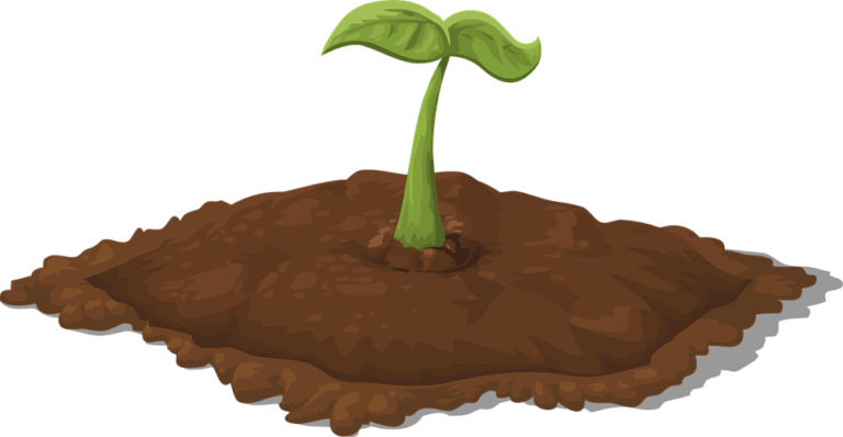 soil regenerative agriculture, soil regenerative farming, soil health in regenerative agriculture, regenerative agriculture, Regenerative Agriculture Platforms , food supply chain, food traceability