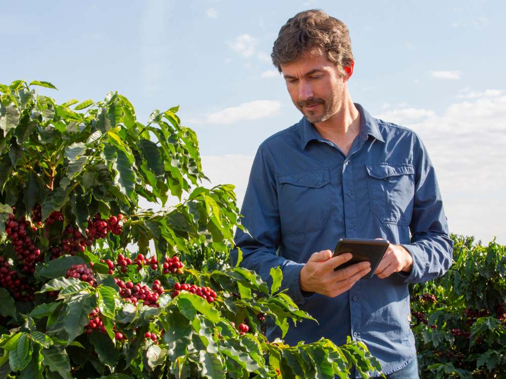 blockchain traceability platform, blockchain traceability