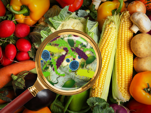 farm management, farm management for enterprises, LACK OF REAL TIME VISIBILITY, food traceability, food supply chain