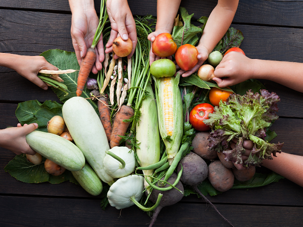 farm management, farm management for enterprises, sustainability demands, food traceability, food supply chain