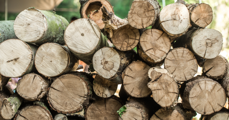 EUDR DDS for Wood Supply Chain in the UK, eudr dds for wood supply chain uk, eudr dds, eudr compliance, eudr traceability