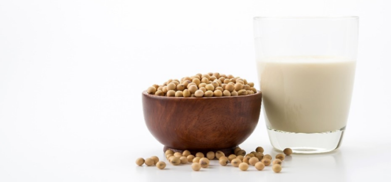 EUDR DDS for Soy Supply Chain in France, Soy Supply Chain in France, Soy Supply Chain