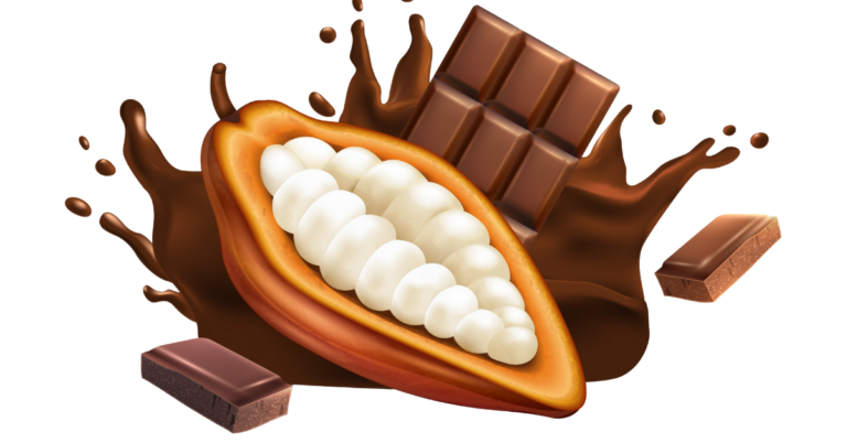 EUDR DDS for Cocoa Supply Chain in Spain, EUDR DDS for Cocoa Supply Chain, cocoa supply chain, cocoa supply chain in spain