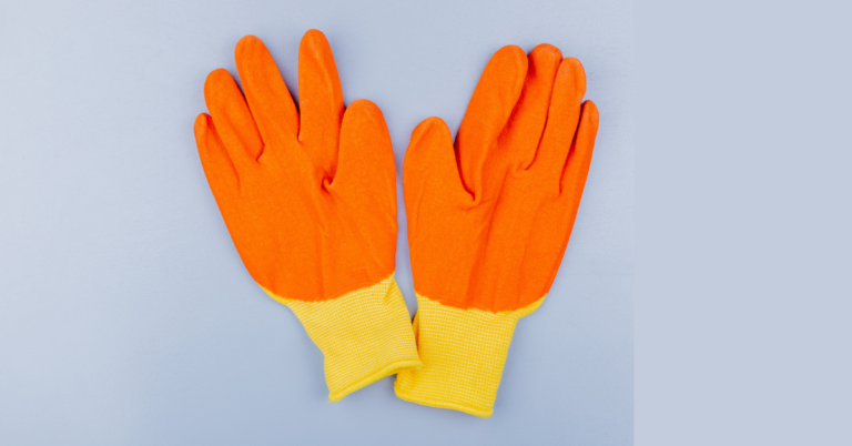 EUDR DDS for Gloves Supply Chain in Belgium, EUDR DDS for Gloves Supply Chain, Gloves Supply Chain in Belgium, Gloves Supply Chain