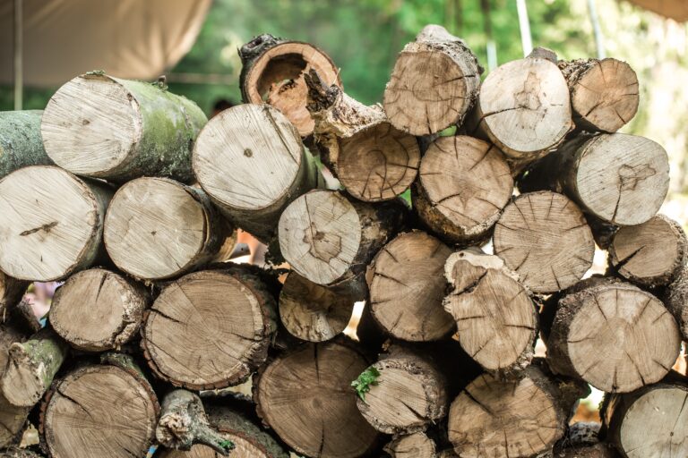 EUDR Compliance for Wood Exporters in Switzerland, EUDR Compliance for Wood Exporters, Wood Exporters in Switzerland, Wood Exporters, eudr compliance, eudr