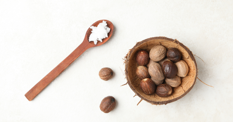 Traceability in Shea Supply Chain, Shea Supply Chain, Shea traceability, shea traceability solution, shea supply chain solution