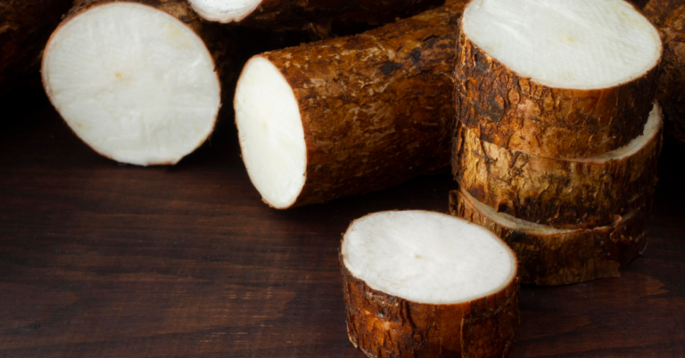 cassava supply chain in uganda , cassava supply chain in Traceability uganda, Traceability in the cassava Supply Chain