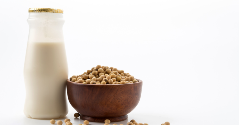 Soy Supply Chain in Tanzania , Soy Supply Chain traceability in Tanzania , Traceability in the Soy Supply Chain