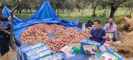 apple traceability, apply supply chain