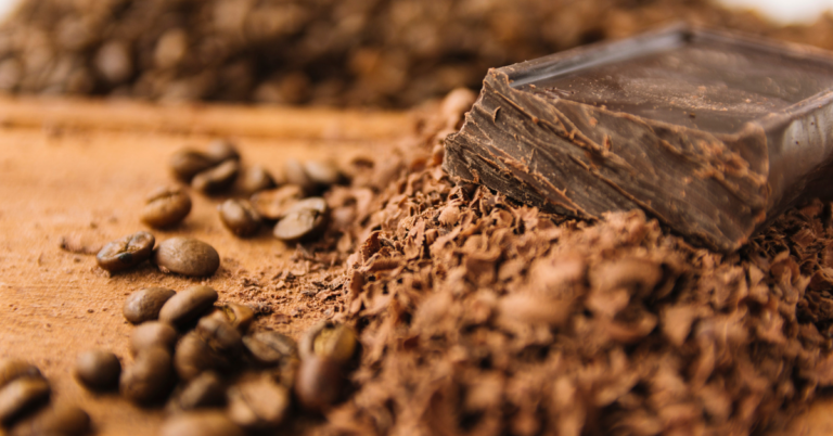 Supplier Data Collection in EUDR for the Cocoa Supply Chain in Switzerland