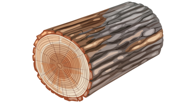Timber Value Chain Forest to Finished Product, Timber Value Chain