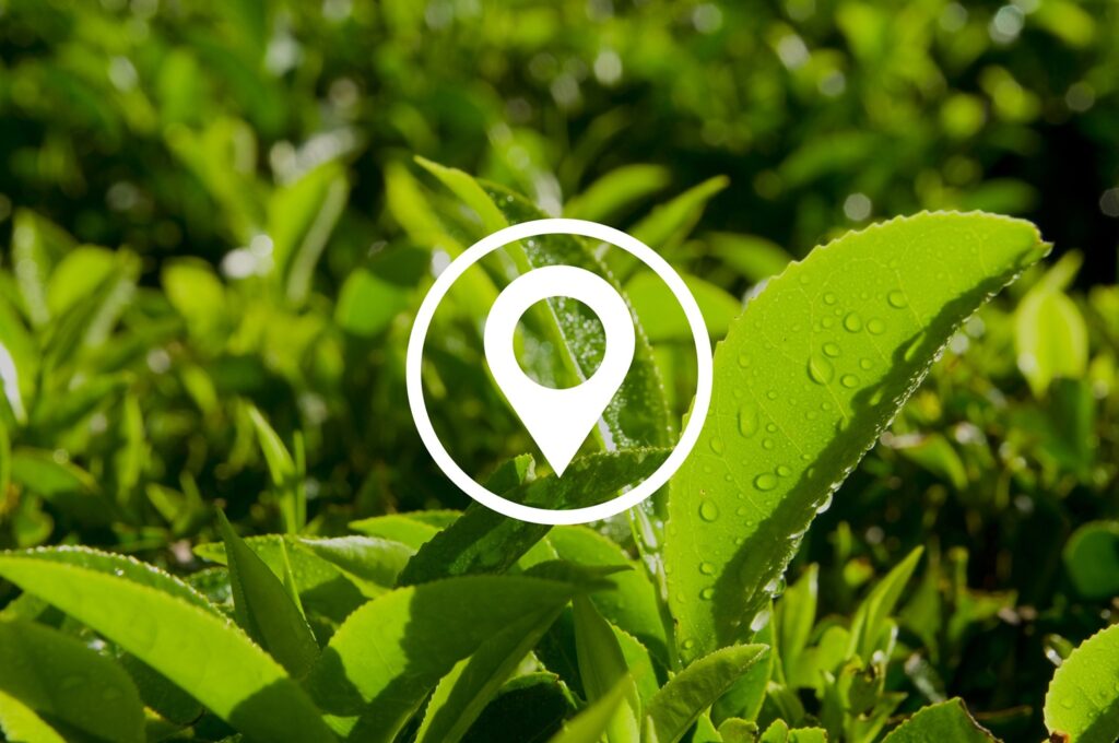 EUDR Geo Mapping, EUDR compliance